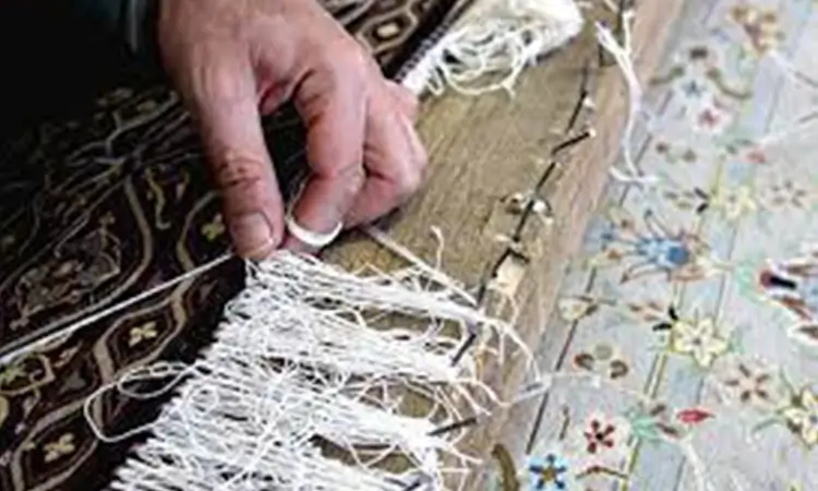 ریشه زنی (1)